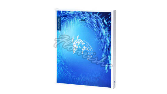 Scatola di profumo promozionale elegante in cartone quadrato blu